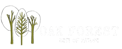 Oak Forest