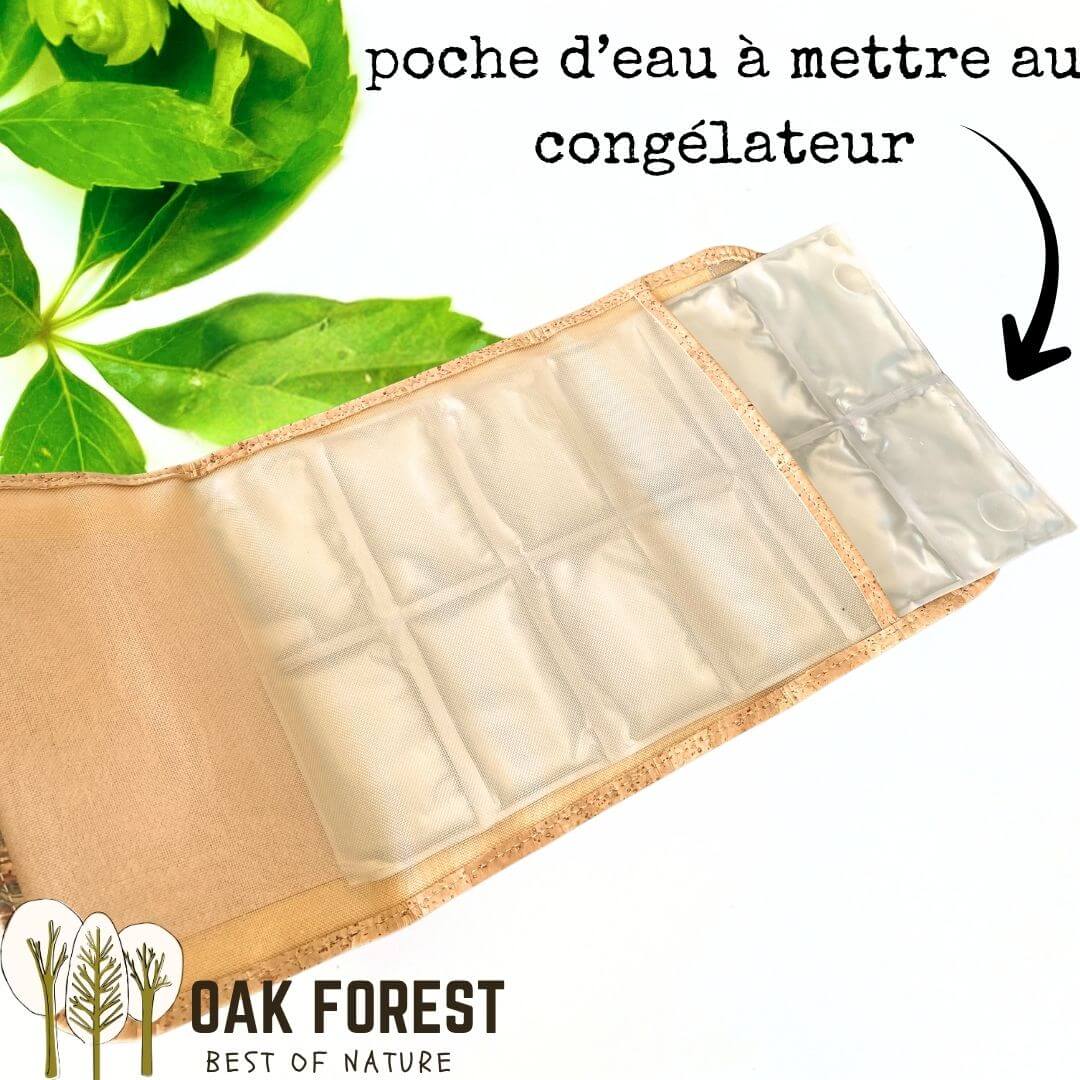 Intérieur du rafraîchisseur Bacchus ouvert à plat montrant la poche de gel congélable amovible