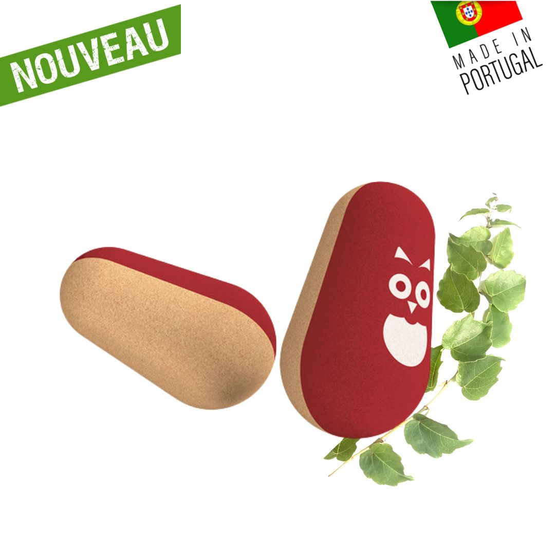 jouet en liege - jouet bois - jouets bois - jouet vegan - jouet ecoresponsable - jouets eco responsable - jouet original - jouet naturel - voiture de course en liege - voiture de course en bois - jouet artisanal - jouet garçon - jouet fille - jouet écologique