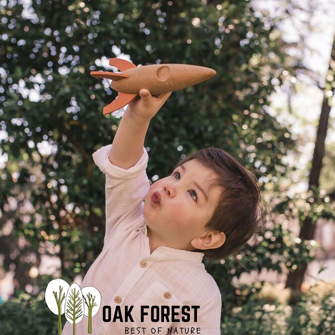 jouet en liege - jouet bois - jouets bois - jouet vegan - jouet ecoresponsable - jouets eco responsable - jouet original - jouet naturel - voiture de course en liege - voiture de course en bois - jouet artisanal - fusée spatiale enfant - jouet garçon - vaisseau spatial enfant - navette spatiale - étoiles -