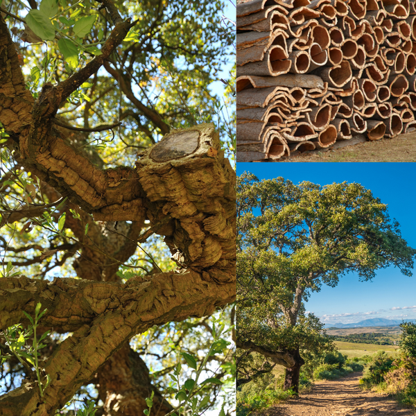 Processus de fabrication du cuir végétal- De la nature à vous