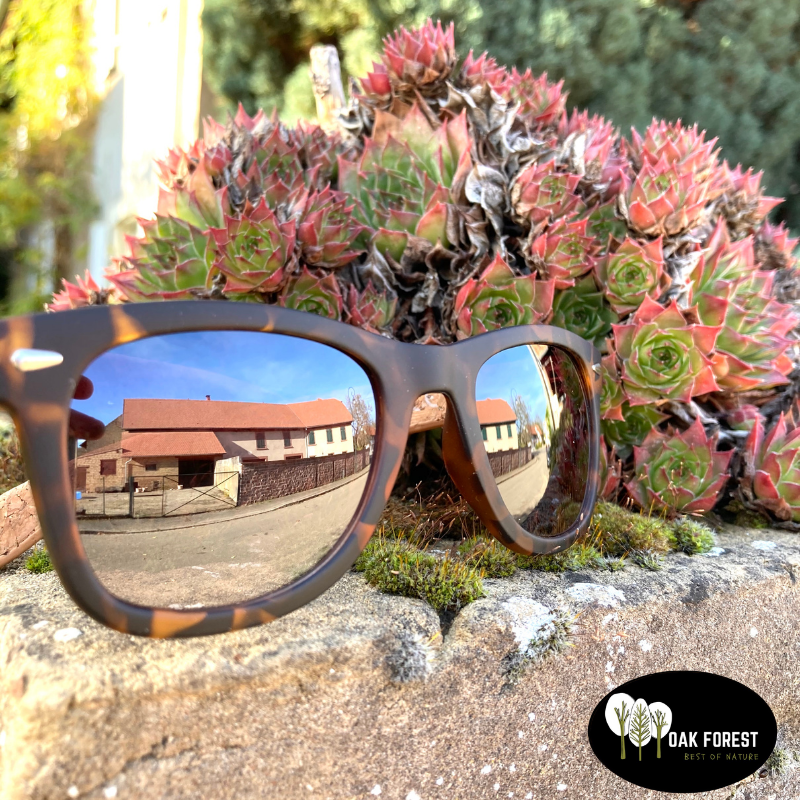 Lunettes de soleil en li ge Lunettes Vegan Lunettes branches